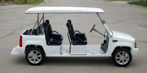 affordable golf cart rental, golf cart rent hallandale beach, cart rental hallandale beach